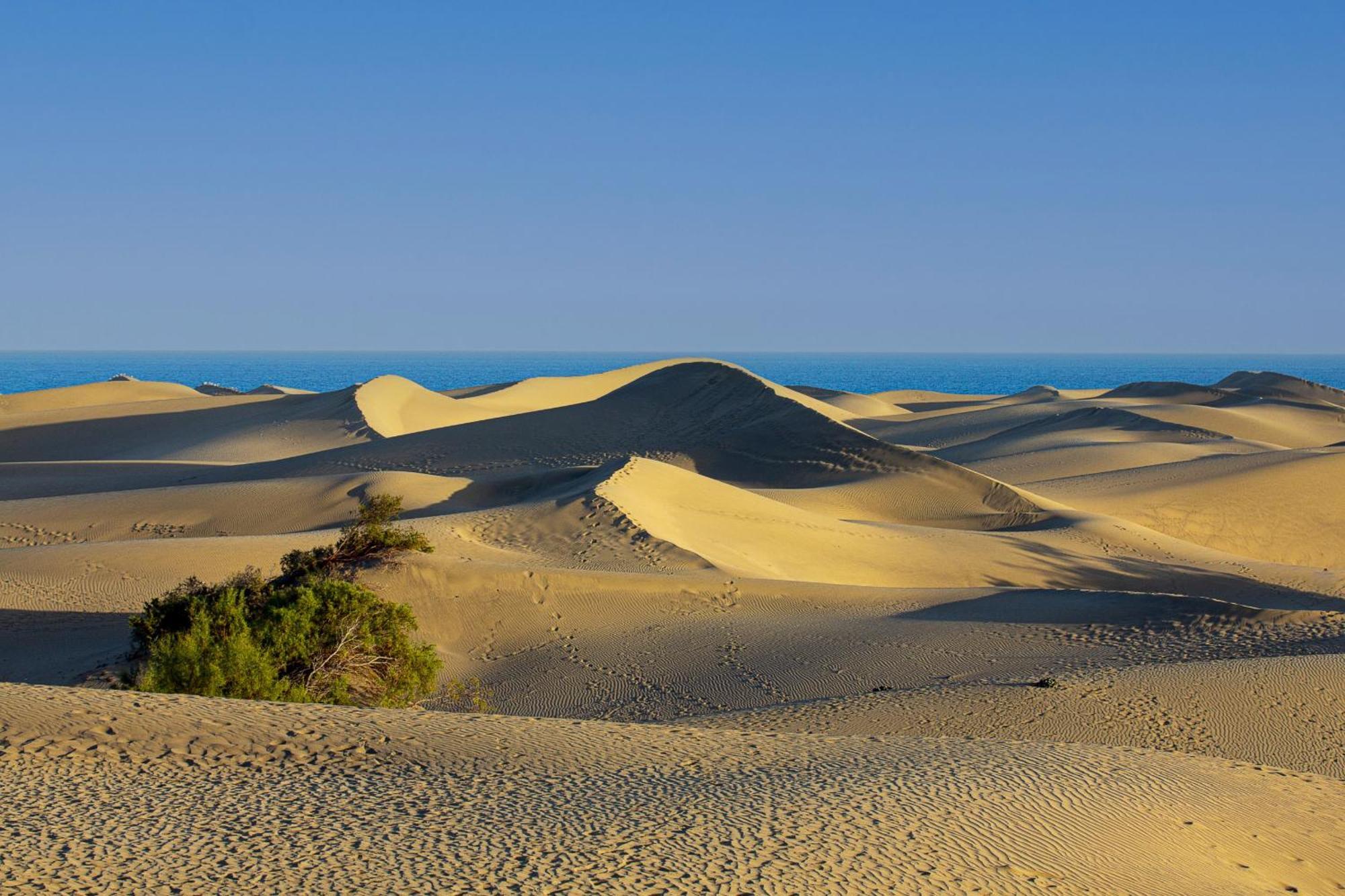 Bungalow Beside The Maspalomas Dunes By Pride Holiday Rentals San Bartolomé Exterior foto